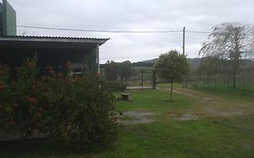 Deptos del sur